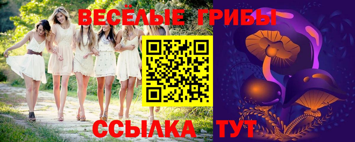 Псилоцибиновые грибы мицелий Елец